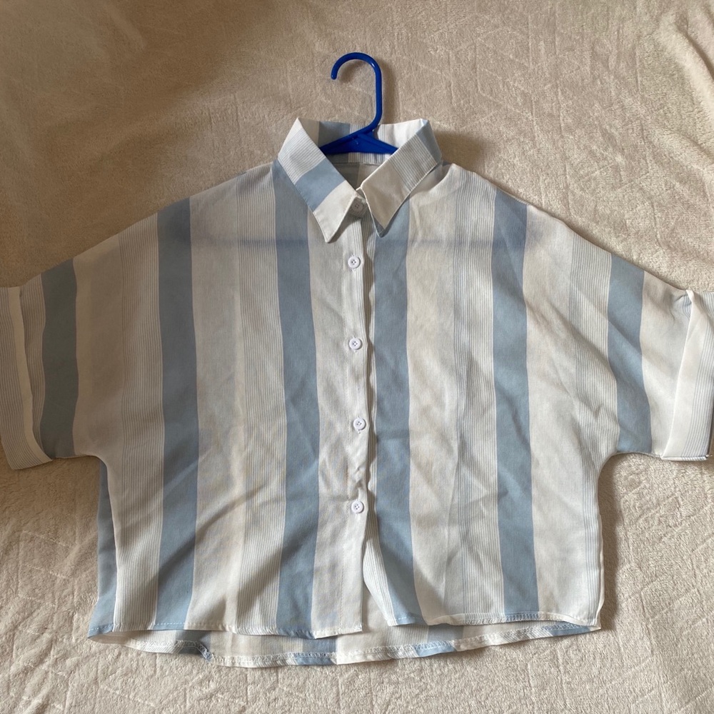 Blue Striped Cropped Shirt Buttondown